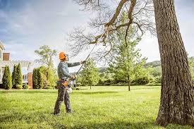 Best Arborist Consultation Services  in Lost Hills, CA